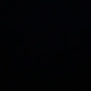 Meet your Posher, Lily